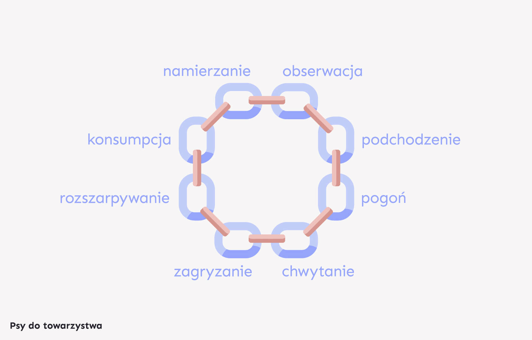 Łańcuch łowiecki - Psy do towarzystwa